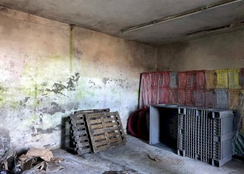 modIMG-20200208-WA0074.jpg - Capannone Fosdinovo - foto 5