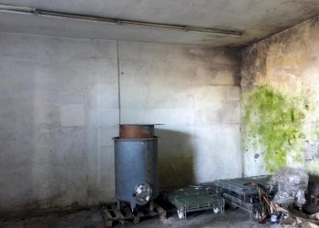 IMG-20200208-WA0075.jpg - Capannone Fosdinovo - foto 6