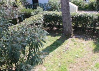 Trilocale Via Caboto, Castagneto Carducci - foto 13