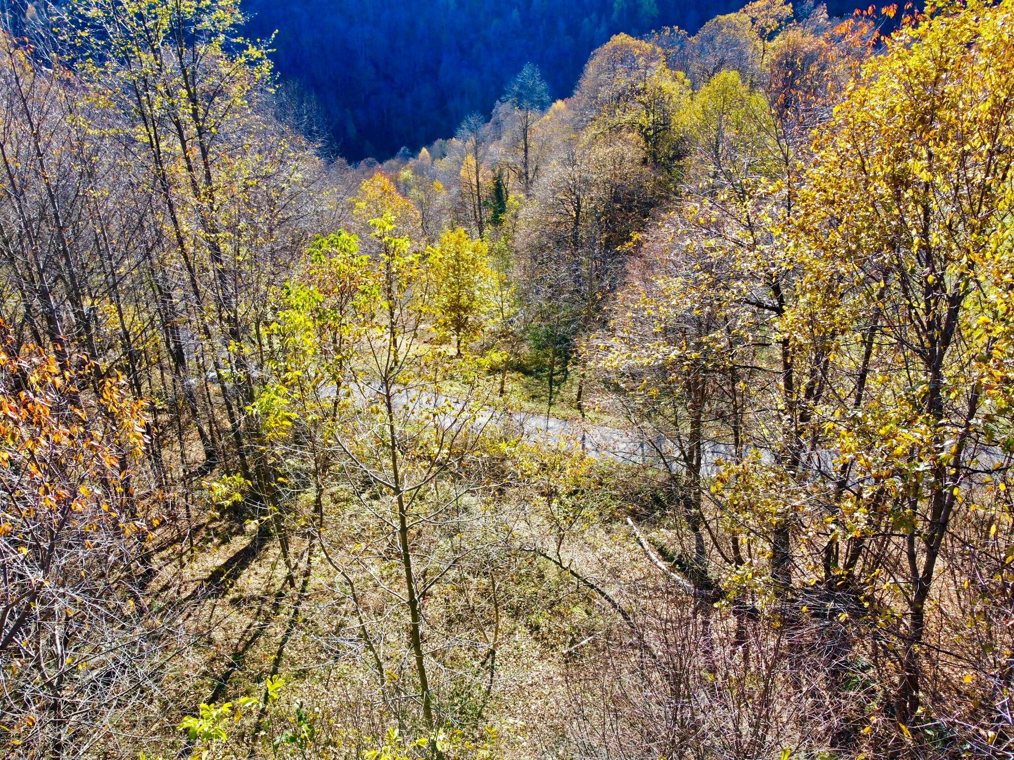 Rustic Località Meyre La Cà, Frassino - photo 2