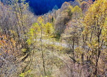 Rustic Località Meyre La Cà, Frassino - photo 2