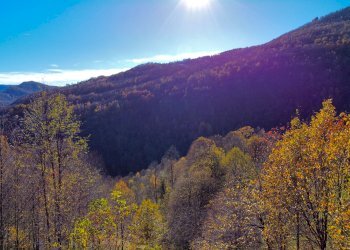 Rustic Località Meyre La Cà, Frassino - photo 4