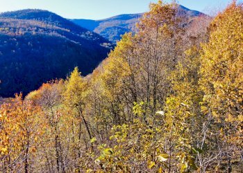 Rustic Località Meyre La Cà, Frassino - photo 6