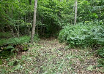 Rustic Località Meyre La Cà, Frassino - photo 14