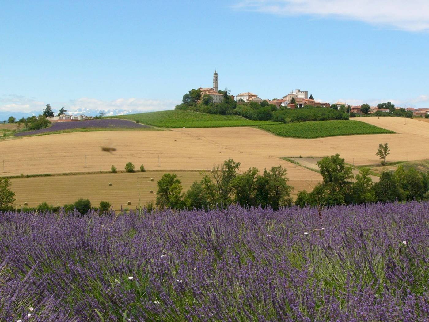 Villa a Schiera via Turca, 18, Villadeati - foto 1