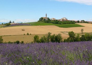 Villa a Schiera via Turca, 18, Villadeati - foto 1