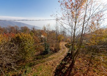 Casa indipendente Frazione Devesio, 34, Rifreddo - foto 23