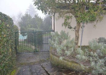 DSC_0028.JPG - Rustico vai elle chiesa, Lucca - foto 13