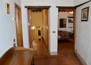 DSC_0037.JPG - Rustico vai elle chiesa, Lucca - foto 22