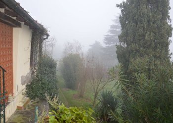 DSC_0043.JPG - Rustico vai elle chiesa, Lucca - foto 27