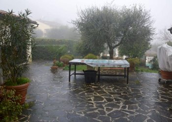 DSC_0044.JPG - Rustico vai elle chiesa, Lucca - foto 28