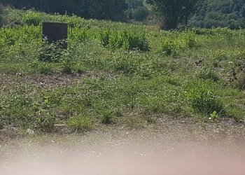 Villa a Schiera VALLE DEL FORNO, San Benedetto del Tronto - foto 22