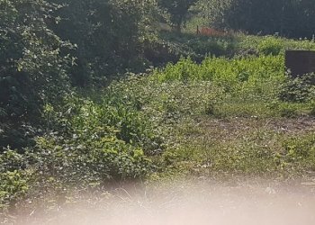 Villa a Schiera VALLE DEL FORNO, San Benedetto del Tronto - foto 23