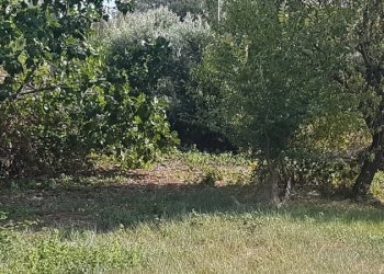 Villa a Schiera VALLE DEL FORNO, San Benedetto del Tronto - foto 24