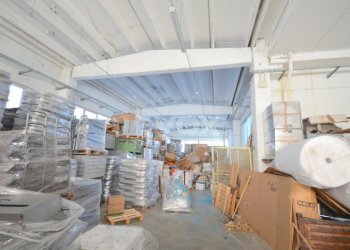 Capannone Bologna - foto 4