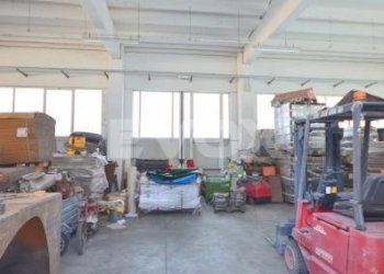 Capannone Bologna - foto 5