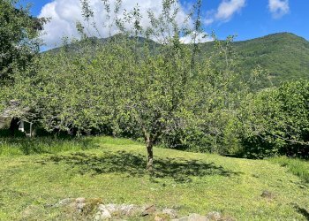 Semi-detached house Borgata Clot di Boulard, 1, Pomaretto - photo 43