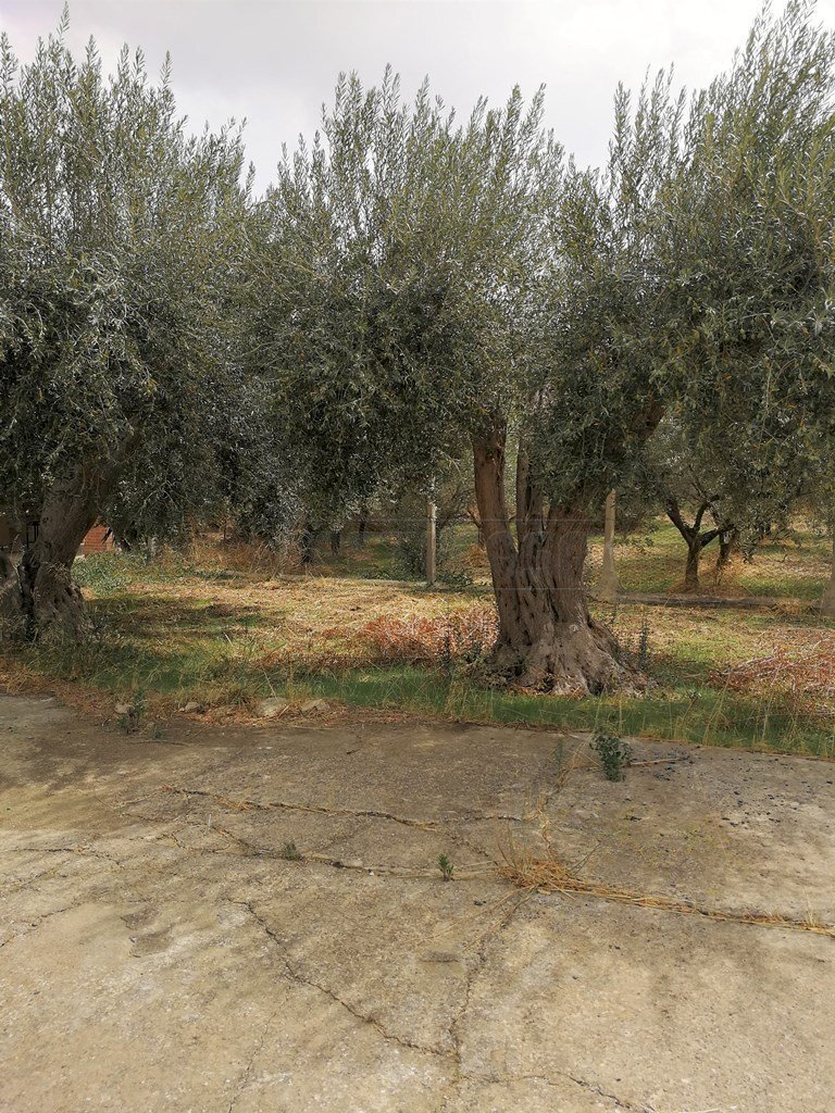 IMG_20170927_120804.jpg - Terraced Villa CONTRADA AVVENTO, Caltanissetta - photo 3