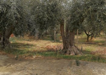 IMG_20170927_120804.jpg - Villa a Schiera CONTRADA AVVENTO, Caltanissetta - foto 3