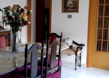24.jpg - Three-room apartment Siracusa - photo 1