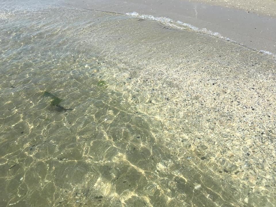 lido-.jpg - Hotel - Accommodation facility Comacchio - photo 3