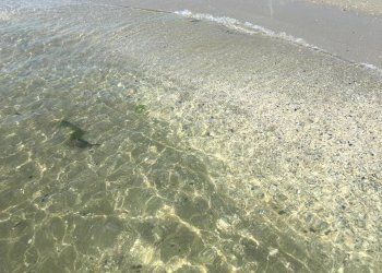 lido-.jpg - Hotel - Accommodation facility Comacchio - photo 3