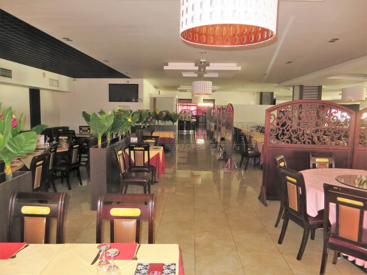 IMG_3213.JPG - Locale Commerciale via della croce rossa, Padova - foto 1