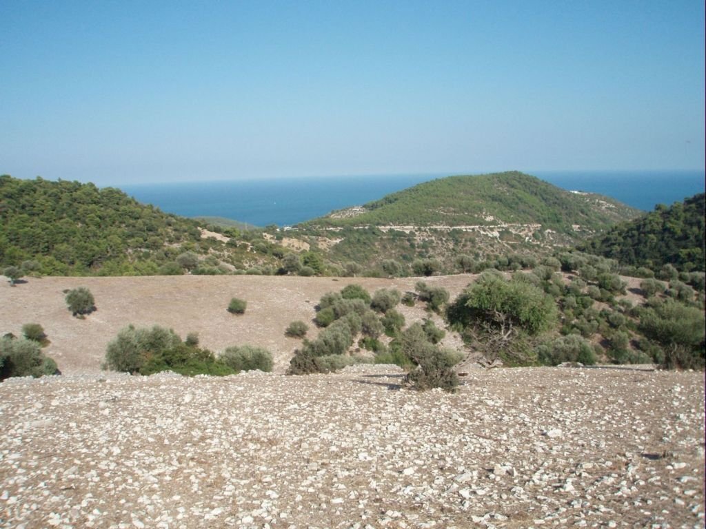 08 MATTINATA Terreno collinare  all\'interno de - Agricultural land Mattinata - photo 1
