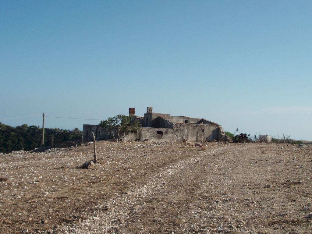 07 MATTINATA  Terreno collinare  all\'interno de - Agricultural land Mattinata - photo 2