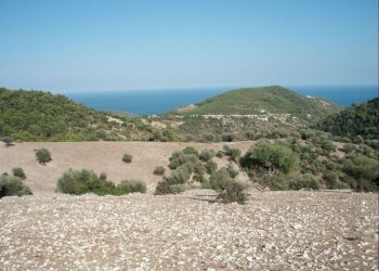 08 MATTINATA Terreno collinare all\'interno de - Agricultural land Mattinata - photo 1