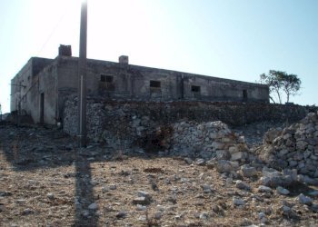 02 MATTINATA Terreno collinare all\'interno de - Agricultural land Mattinata - photo 3