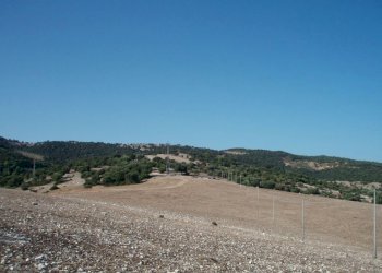 011 MATTINATA Terreno collinare all\'interno d - Agricultural land Mattinata - photo 5