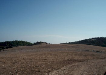 04 MATTINATA Terreno collinare all\'interno de - Agricultural land Mattinata - photo 9