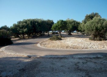 05 MATTINATA Terreno collinare all\'interno de - Agricultural land Mattinata - photo 10