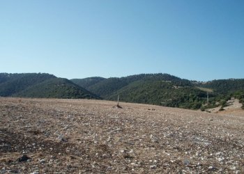 010 MATTINATA Terreno collinare all\'interno d - Agricultural land Mattinata - photo 12