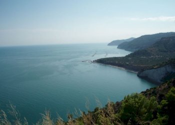 013 MATTINATA Terreno collinare all\'interno d - Agricultural land Mattinata - photo 13