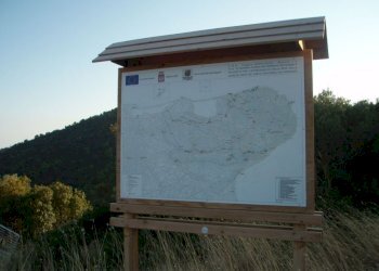 014 MATTINATA Terreno collinare all\'interno d - Agricultural land Mattinata - photo 14