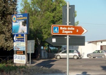 015 MATTINATA Terreno collinare all\'interno d - Agricultural land Mattinata - photo 15