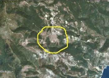 016 MATTINATA Terreno collinare all\'interno d - Agricultural land Mattinata - photo 16