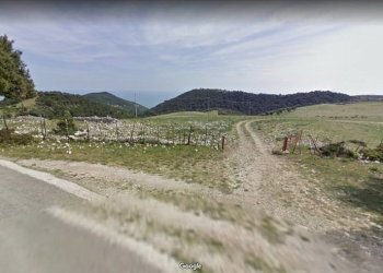 Ingresso Terreno (1).jpg - Agricultural land Mattinata - photo 19