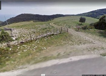 Ingresso Terreno (2).jpg - Agricultural land Mattinata - photo 20