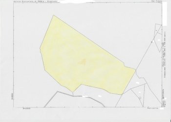 019 MATTINATA Terreno collinare all\'interno del - Agricultural land Mattinata - photo 22