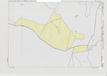 020 MATTINATA Terreno collinare all\'interno del - Agricultural land Mattinata - photo 23