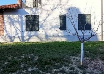 Villa Montegrosso d'Asti - foto 4