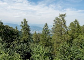 Bilocale Via Fonte Clat, 4/A, Bagnolo Piemonte - foto 23