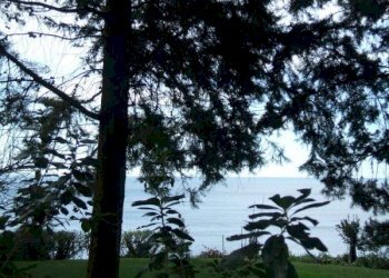 VISTA - Villa Genova (zona Quarto) - foto 1