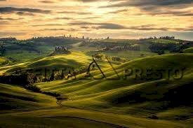 Agricultural land Fauglia - photo 3