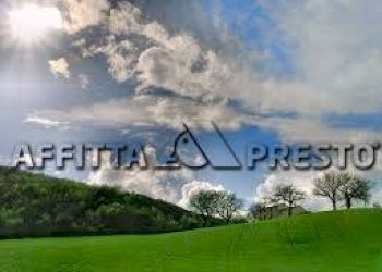 Terreno agricolo Fauglia - foto 1