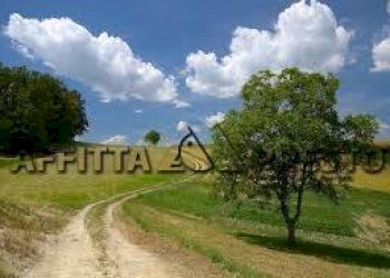 Terreno agricolo Fauglia - foto 2