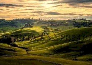 Terreno agricolo Fauglia - foto 3